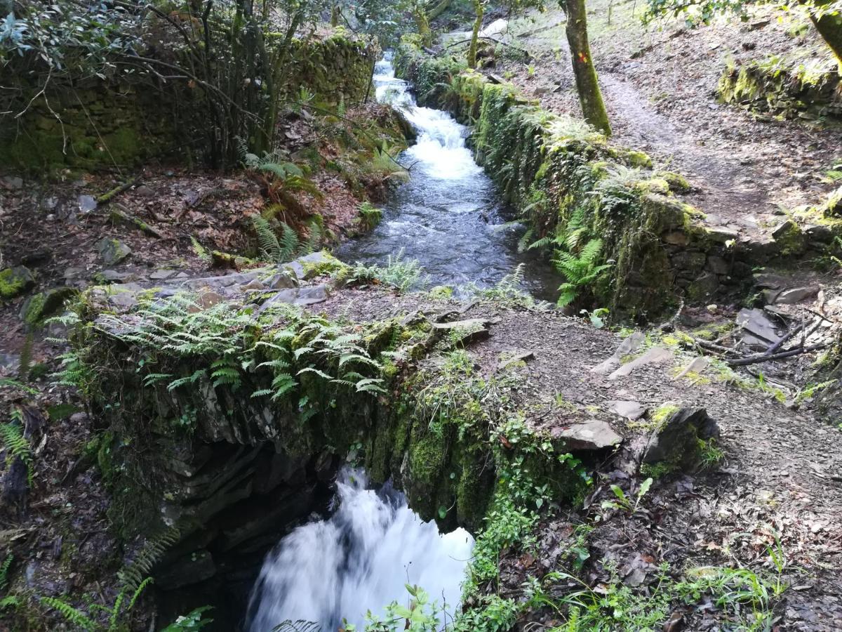 Casinha Do Talasnal Lousã Exteriér fotografie